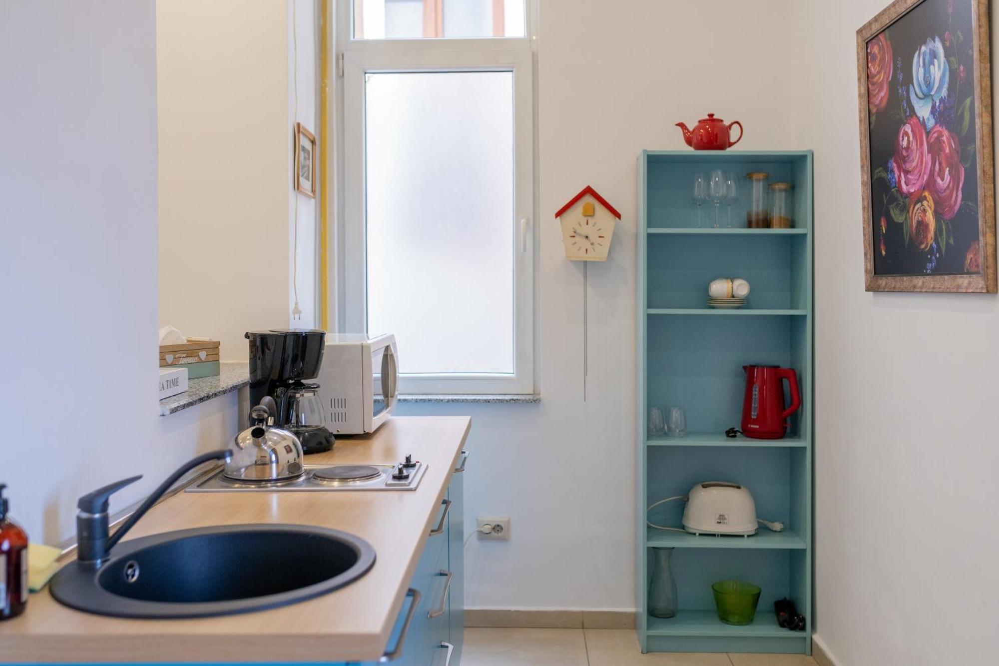 Apartment Cozy Spacious 5 Star In The Heart Of Historic Center Cluj-Napoca