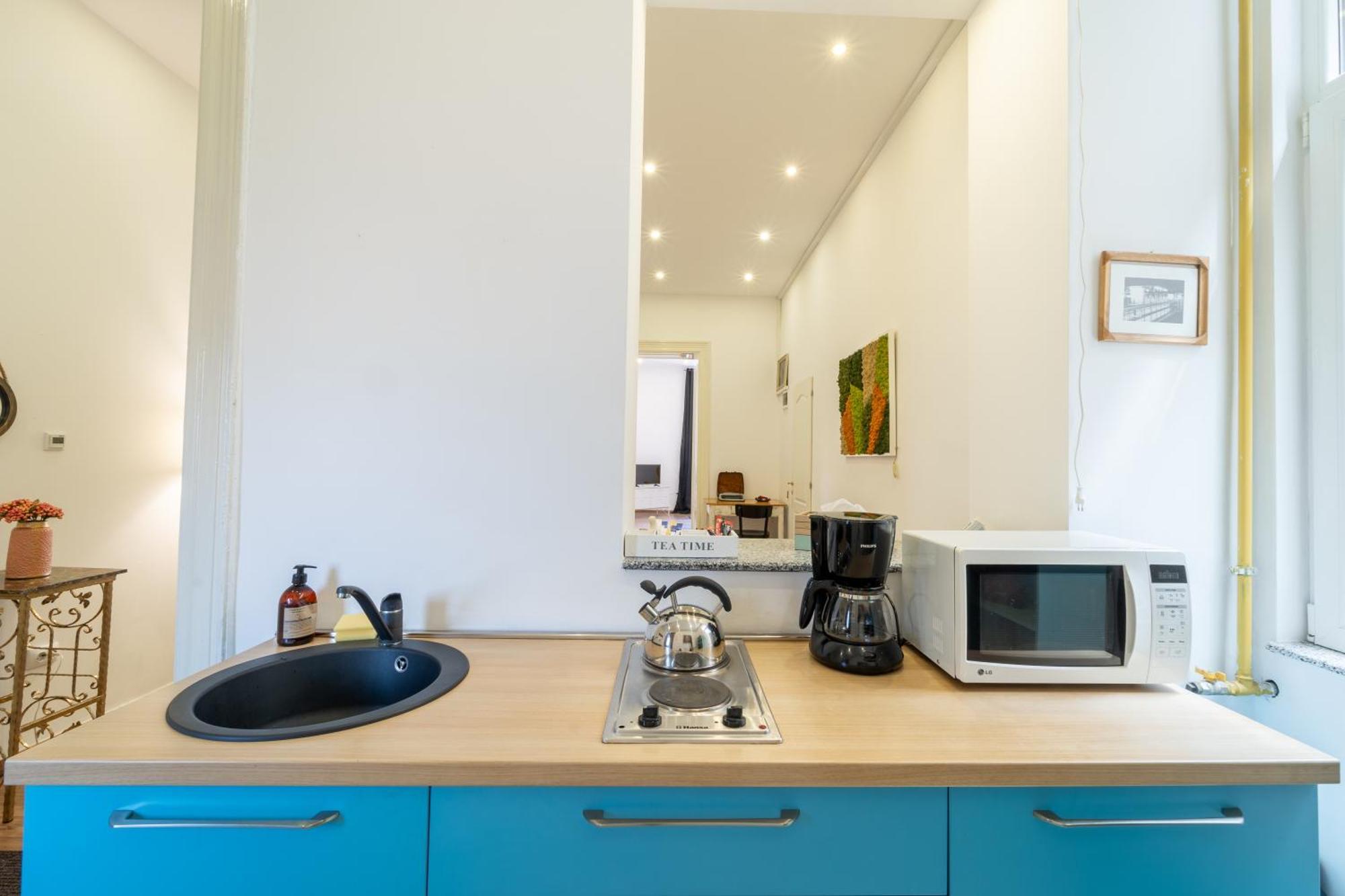 Cozy Spacious 5 Star In The Heart Of Historic Center Apartment Cluj-Napoca