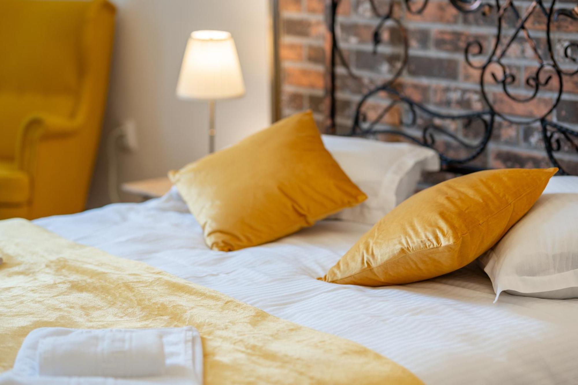 Cozy Spacious 5 Star In The Heart Of Historic Center Cluj-Napoca