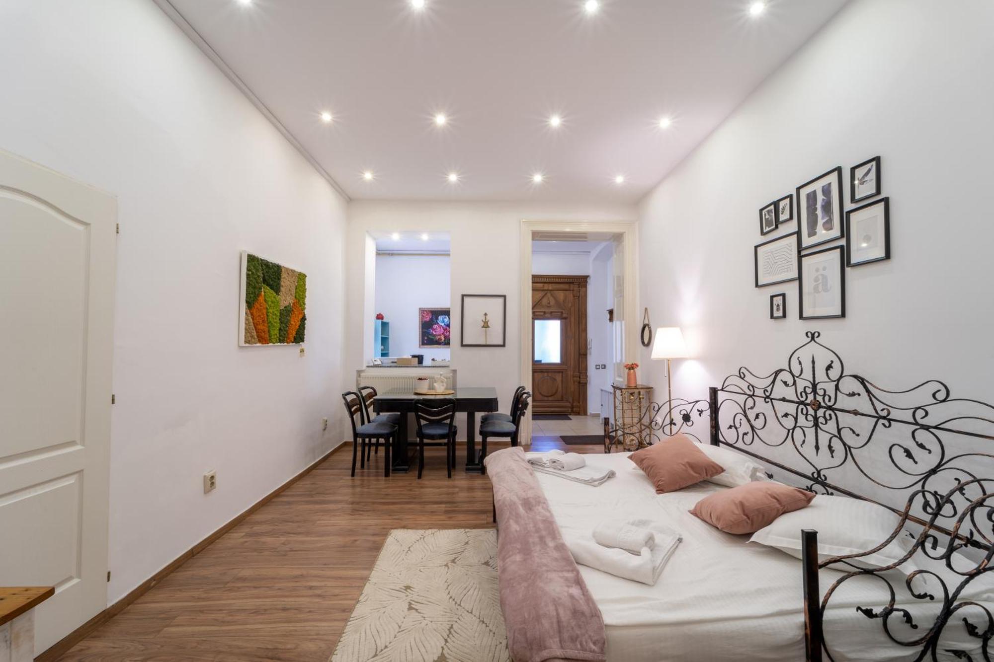Cozy Spacious 5 Star In The Heart Of Historic Center * Cluj-Napoca