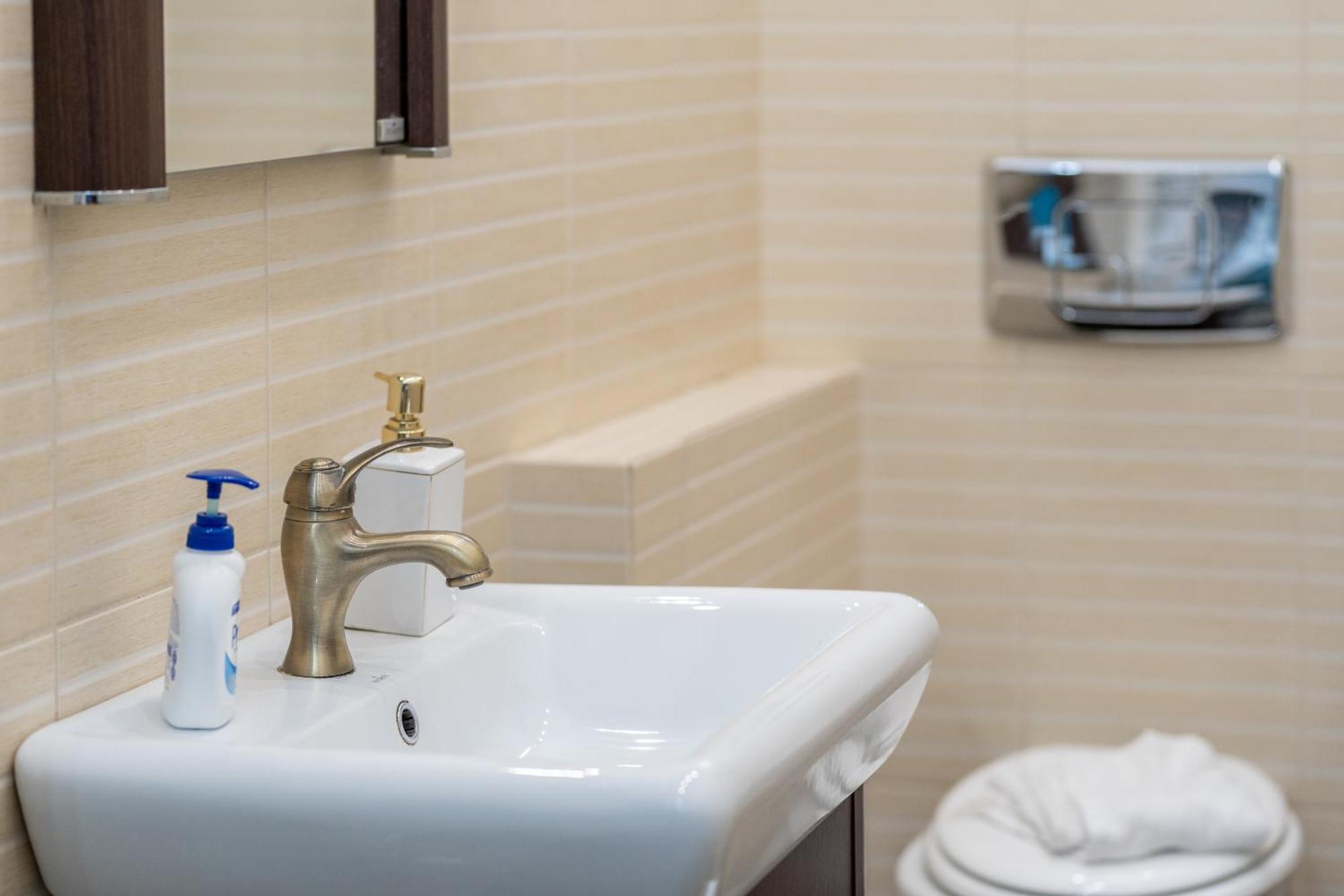 Cozy Spacious 5 Star In The Heart Of Historic Center Apartment Cluj-Napoca